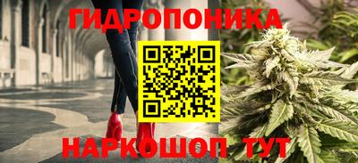 PSILOCYBIN Краснодар